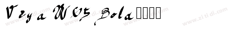 Vega W05 Bold字体转换